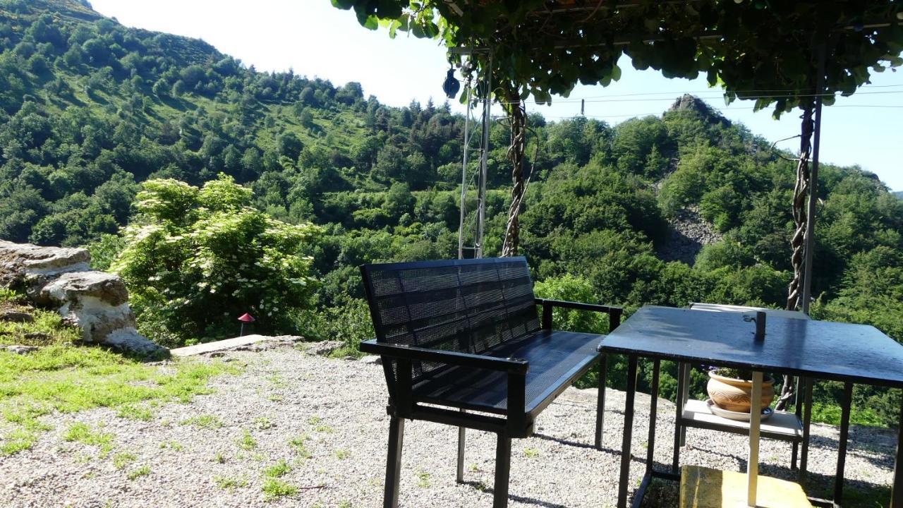 Gite De Noe Au Ray-Pic Pereyres 外观 照片